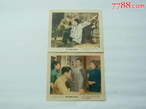 做个假加蓬驾驶证